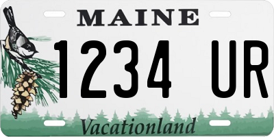 ME license plate 1234UR