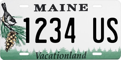 ME license plate 1234US