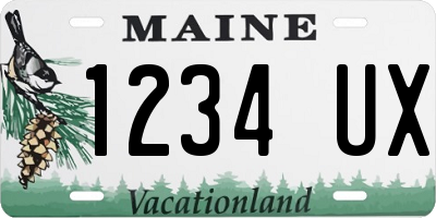 ME license plate 1234UX