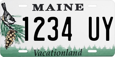 ME license plate 1234UY