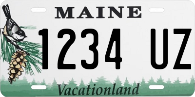 ME license plate 1234UZ