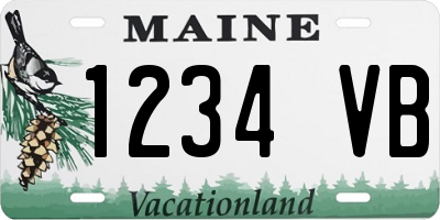 ME license plate 1234VB