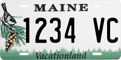 ME license plate 1234VC