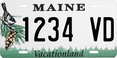 ME license plate 1234VD
