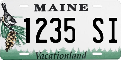 ME license plate 1235SI