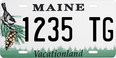 ME license plate 1235TG