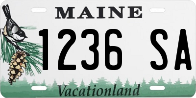 ME license plate 1236SA