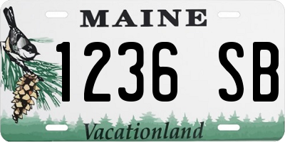 ME license plate 1236SB