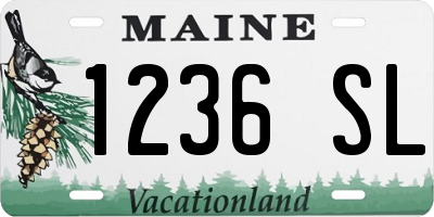 ME license plate 1236SL