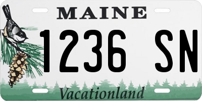 ME license plate 1236SN