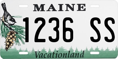ME license plate 1236SS
