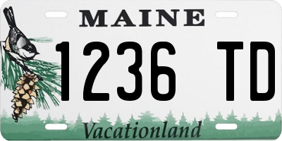 ME license plate 1236TD