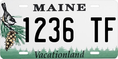 ME license plate 1236TF