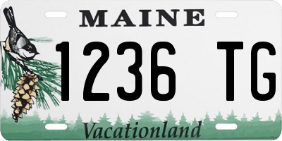 ME license plate 1236TG