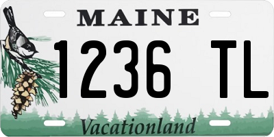 ME license plate 1236TL