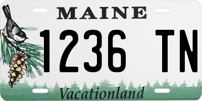 ME license plate 1236TN