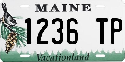 ME license plate 1236TP