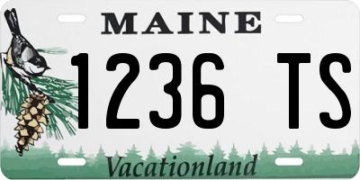 ME license plate 1236TS