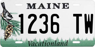 ME license plate 1236TW