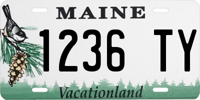 ME license plate 1236TY
