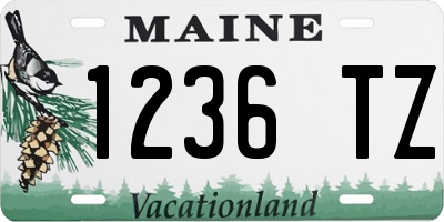 ME license plate 1236TZ