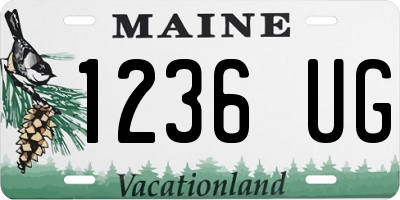 ME license plate 1236UG
