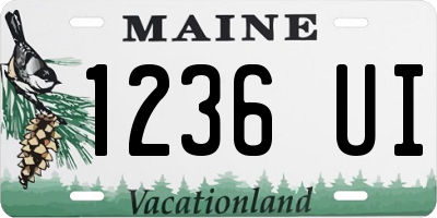 ME license plate 1236UI