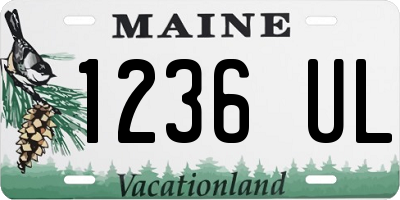 ME license plate 1236UL