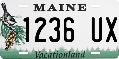 ME license plate 1236UX