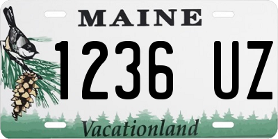 ME license plate 1236UZ