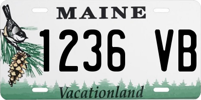 ME license plate 1236VB