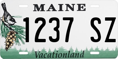 ME license plate 1237SZ