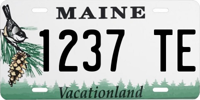 ME license plate 1237TE