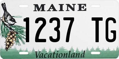 ME license plate 1237TG