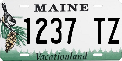 ME license plate 1237TZ