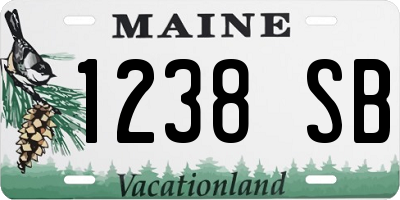 ME license plate 1238SB