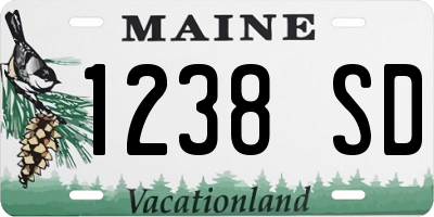 ME license plate 1238SD