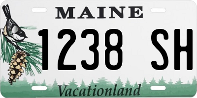 ME license plate 1238SH