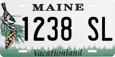 ME license plate 1238SL