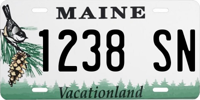 ME license plate 1238SN