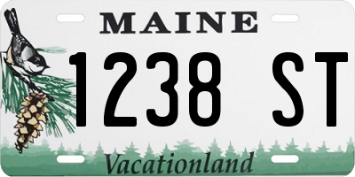 ME license plate 1238ST