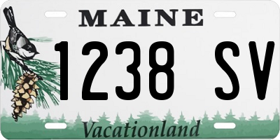 ME license plate 1238SV