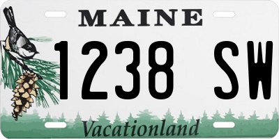 ME license plate 1238SW