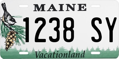 ME license plate 1238SY