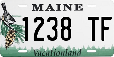 ME license plate 1238TF