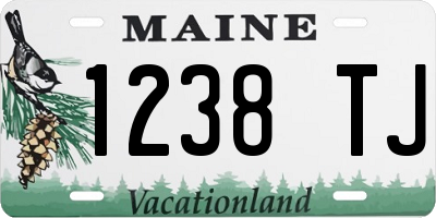 ME license plate 1238TJ