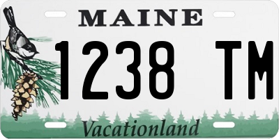 ME license plate 1238TM