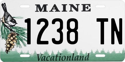 ME license plate 1238TN