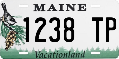 ME license plate 1238TP