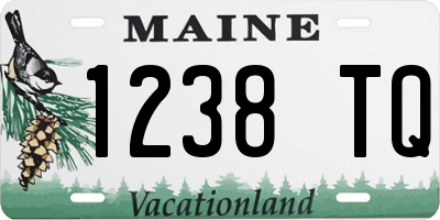 ME license plate 1238TQ